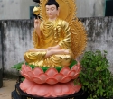 Đặt tôn tạo tượng thích ca xi măng tại Tượng Phật Điển Thảo