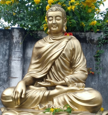 Tượng bổn sư ngồi đài sen nên mua ở đâu uy tín, giá tốt?