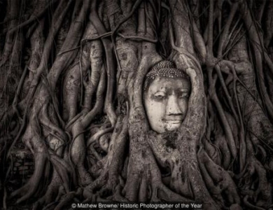 Bức tượng Phật 700 năm bị rễ cây nuốt chửng hé lộ sự tương đồng với nghệ thuật điêu khắc nổi tiếng n