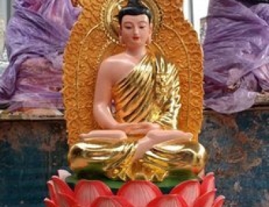 Xưởng Điêu Khắc Tượng Bổn Sư Giá Cực Tốt