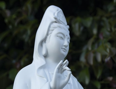 Dự án thi công 5