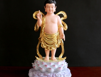Tượng Đức Phật Đản Sanh đặt ở đâu là đúng và trang nghiêm?