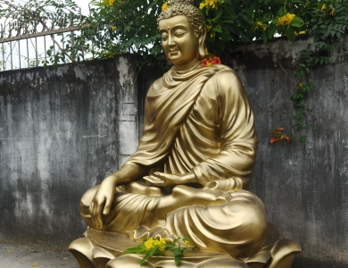 Nơi nào cung cấp tượng Bổn Sư đẹp nhất hiện nay?