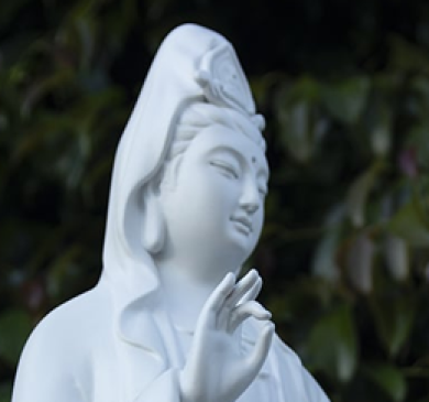 Dự án thi công 5