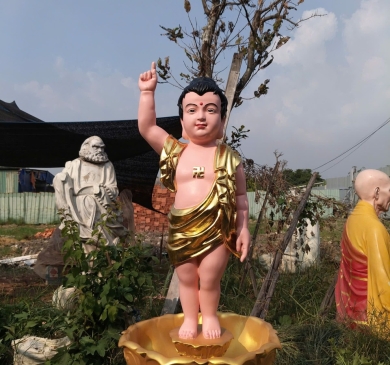 Thỉnh tượng Phật Đản Sanh đẹp, chuẩn diện tướng tại Điển Thảo