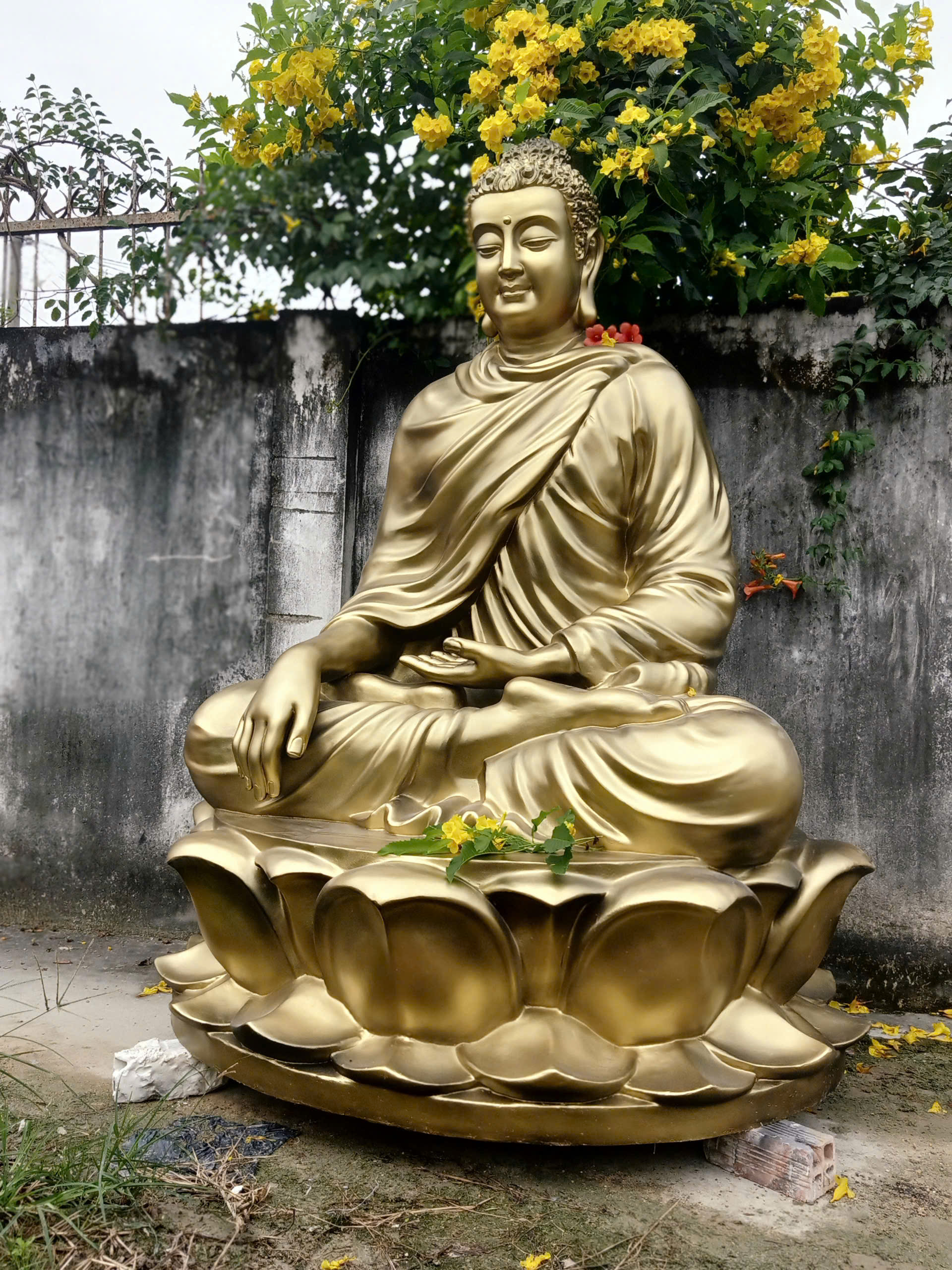 tượng phật thích ca composite